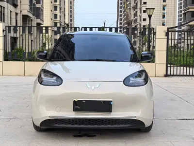 Wuling Bingo