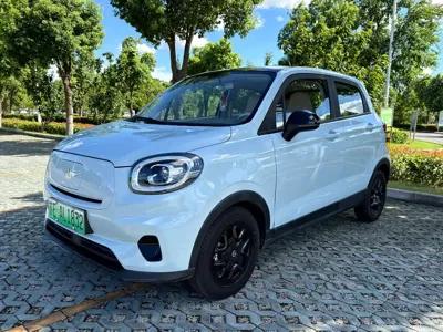 Leapmotor Leapmotor T03