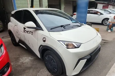 BYD Seagull