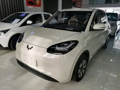 Wuling Bingo