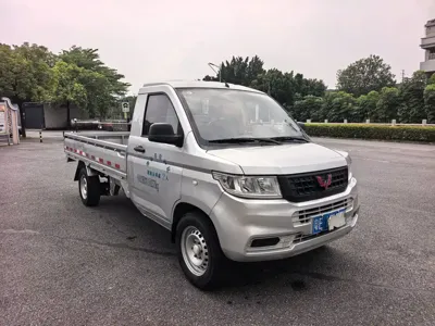 Wuling Rongguang New Truck