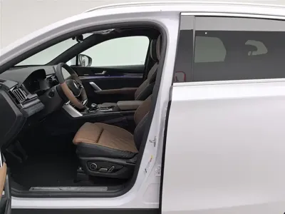 BYD Tang New Energy