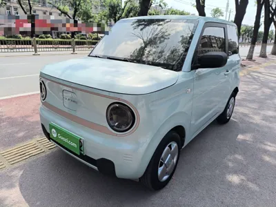 Geely Galaxy Panda