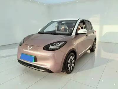 Wuling Bingo