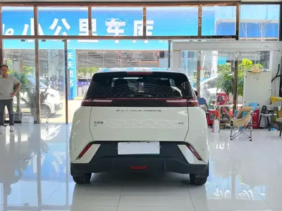BYD Seagull