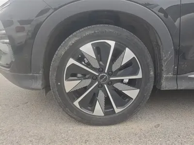 BYD PLUS New Energy