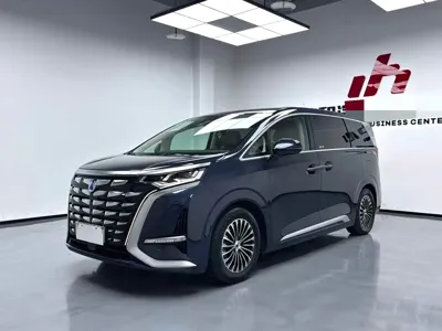 Denza Denza D9