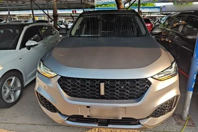 WEY VV6