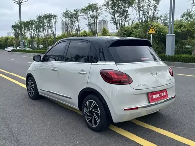 Wuling Bingo