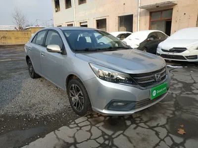 Zotye Z300