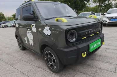 Geely Galaxy Panda