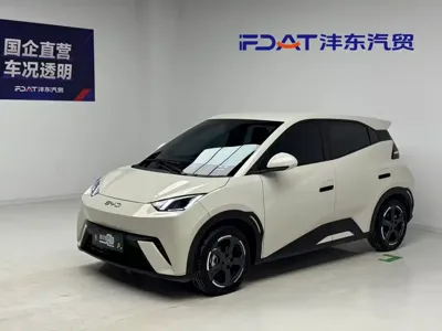 BYD Seagull