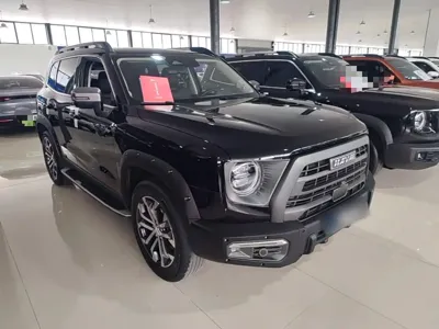 Haval Big Dog