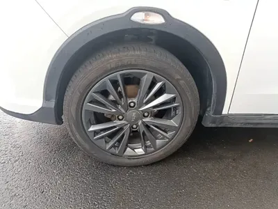 NETA Neta V