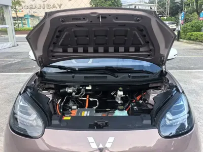 Wuling Bingo