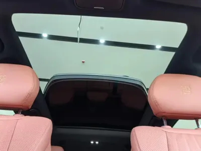 BYD 唐L