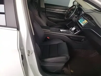 Geely Binrui