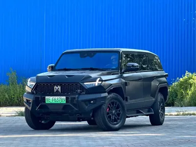 Mengshi Mengshi 917