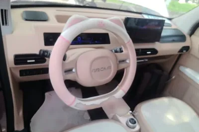Geely Galaxy Panda