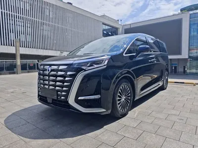 Denza Denza D9