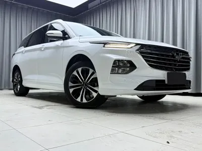 Wuling Victory