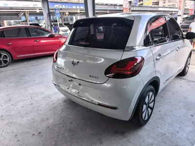 Wuling Bingo