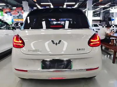 Wuling Bingo