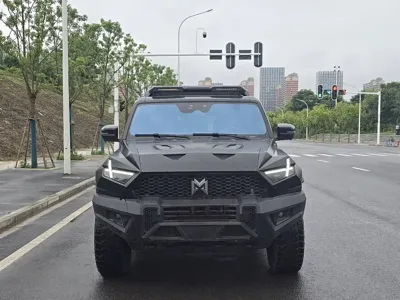 Mengshi Mengshi 917