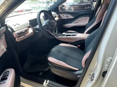 BYD Seagull