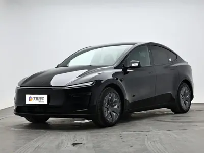 Tesla Model Y L