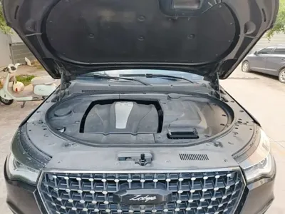 Zotye Zotye T700