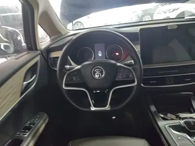 BYD MAX New Energy
