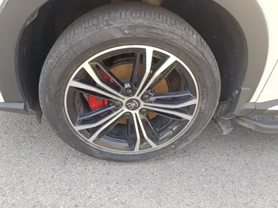 BYD PLUS