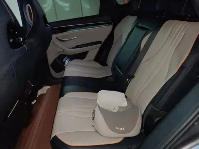 BYD PLUS New Energy