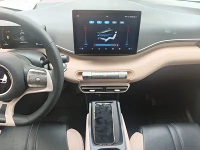 BYD Seagull