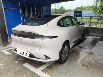 IM IM LS6
