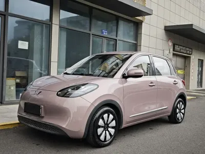 Wuling Bingo