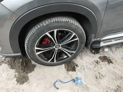 BYD PLUS