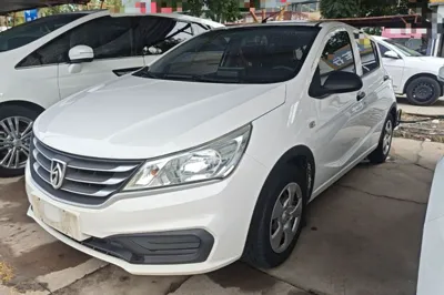 Baojun 310