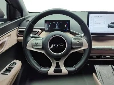 BYD Seagull