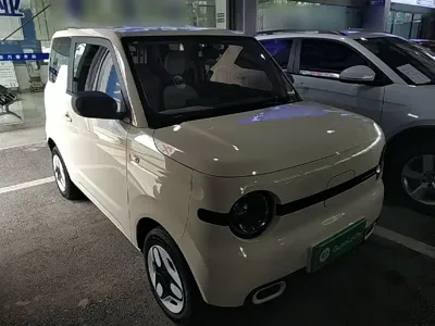 Galaxy Panda