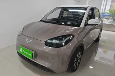 Wuling Bingo