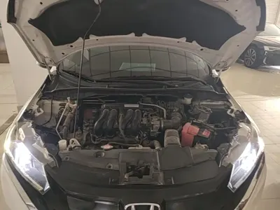 Honda Gienia