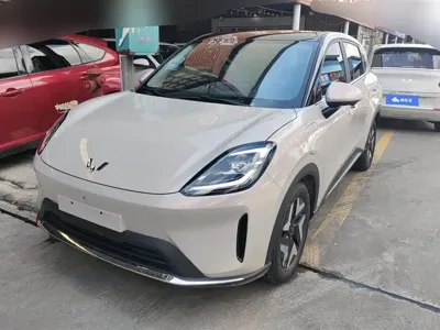 Wuling 缤果S