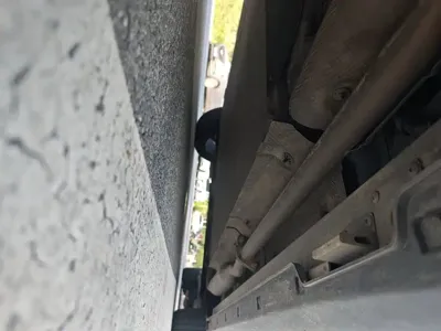 NETA Neta L