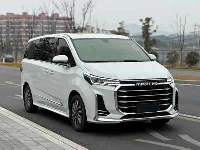 大通 G20