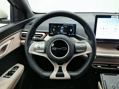 BYD Seagull