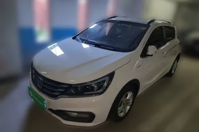 Baojun 310
