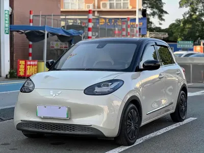 Wuling Bingo