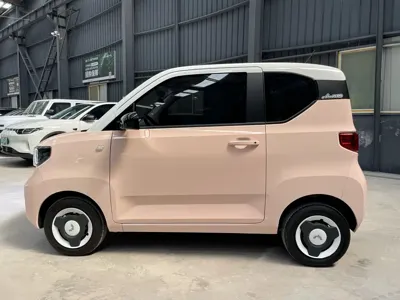 Wuling MINIEV